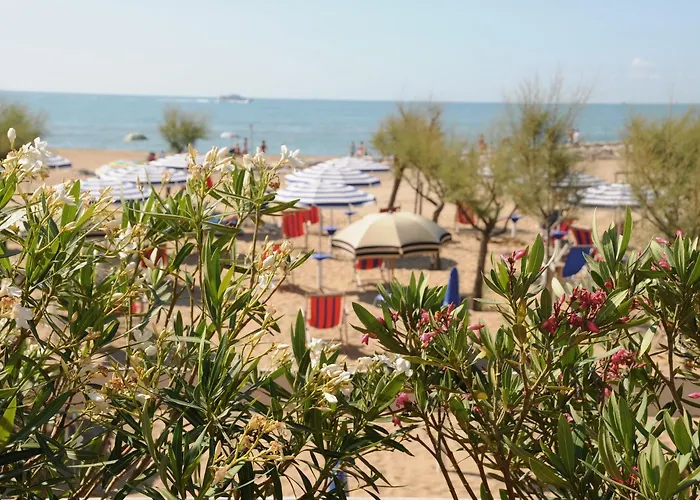 Hotel Fenix 3*