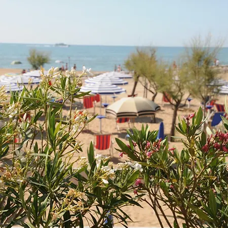 Hotel Fenix 3*