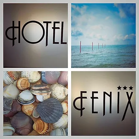 Fenix 3*